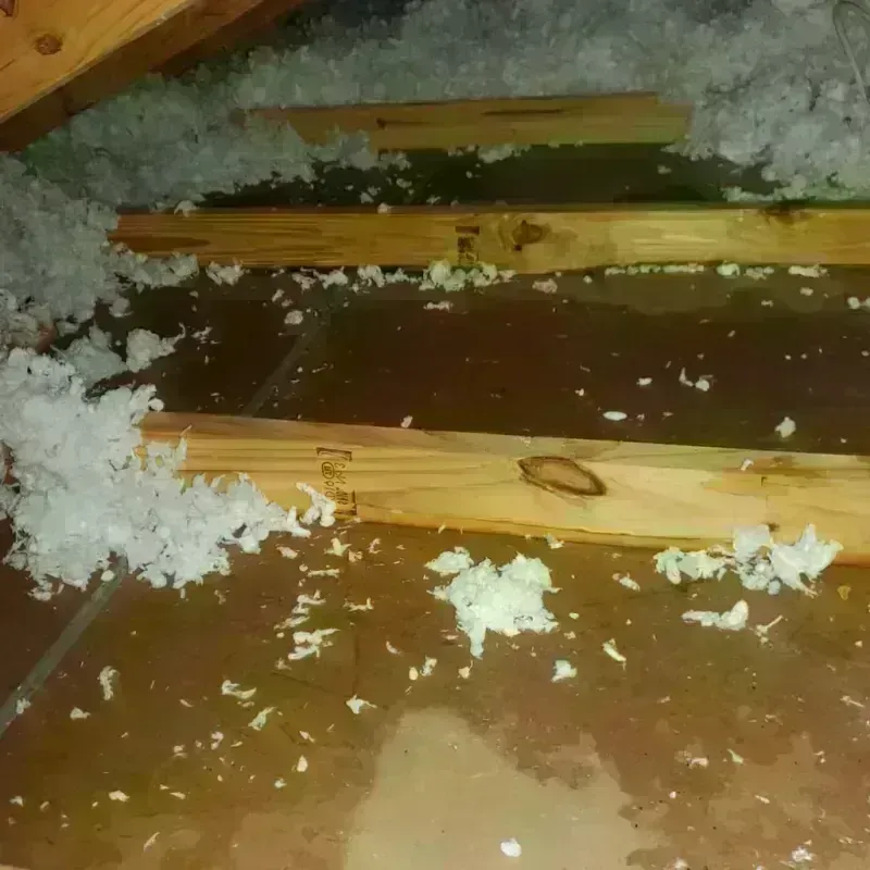 Attic Water Damage in McDonald, OH