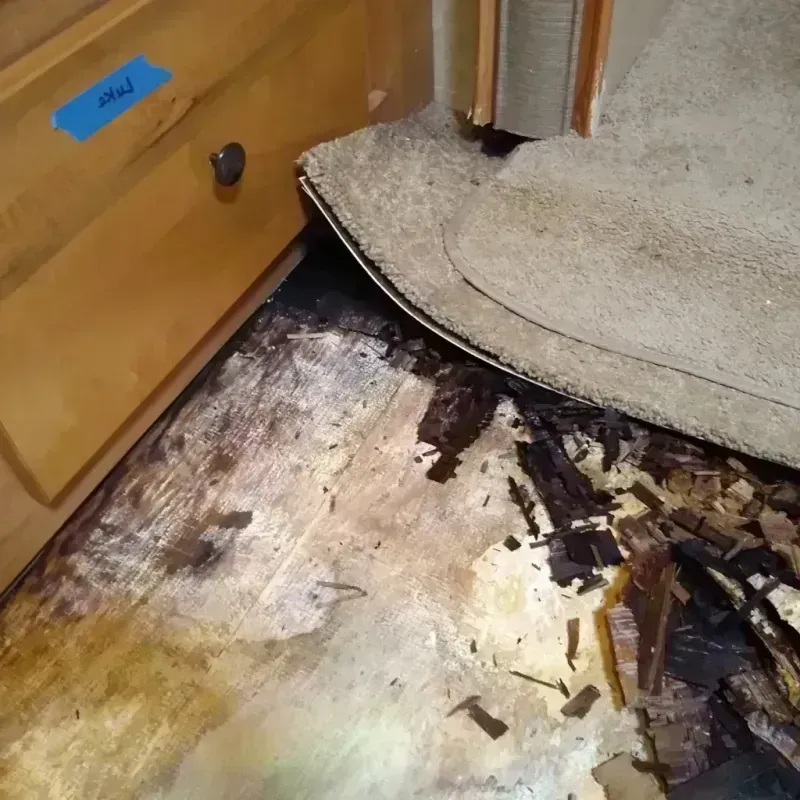 Wood Floor Water Damage in McDonald, OH